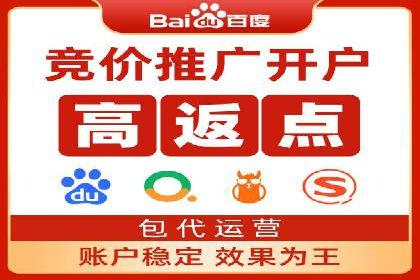 揭秘SEM竞价成功案例，助你提升ROI